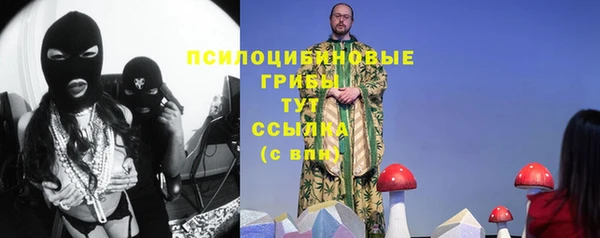 МДПВ Абинск