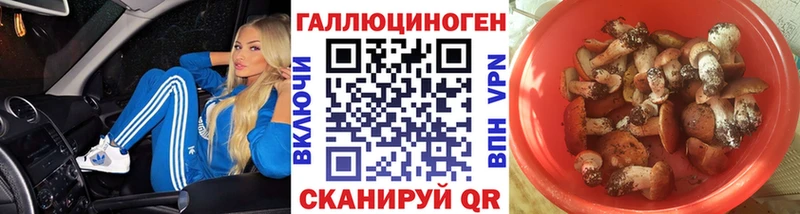 Галлюциногенные грибы GOLDEN TEACHER  Хадыженск 